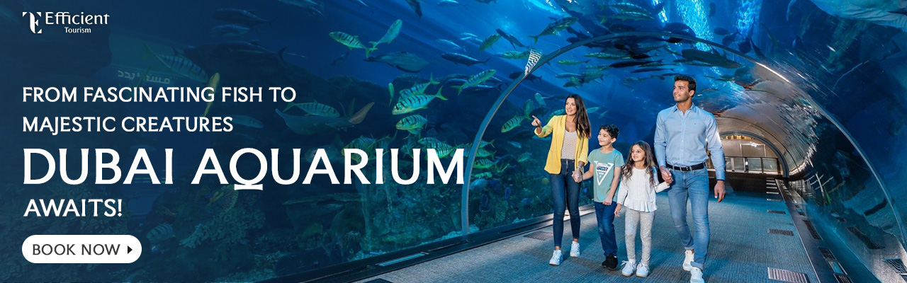 Dubai Aquarium and Underwater Zoo