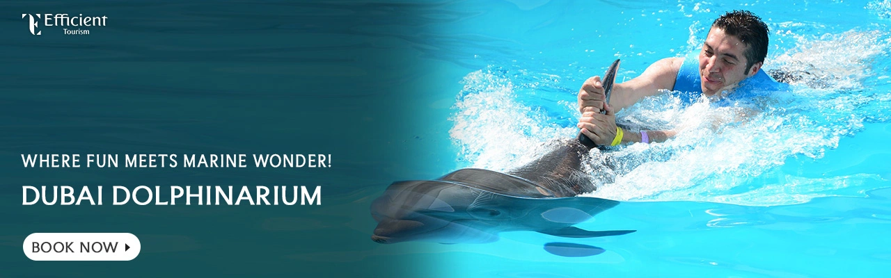 Dubai Dolphinarium