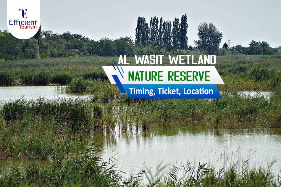 Al wasit wetland nature reserve