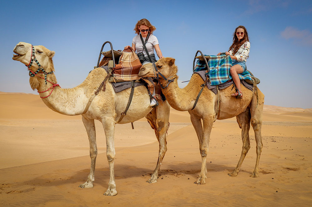 Camel Riding Dubai Tours