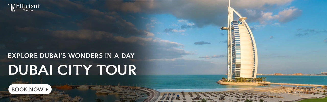 Full Day Dubai City Tour