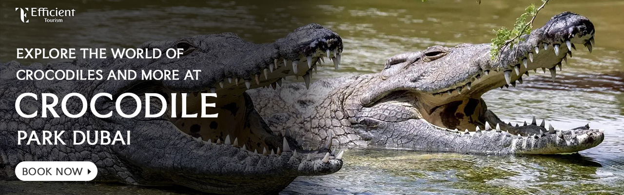Dubai Crocodile Park