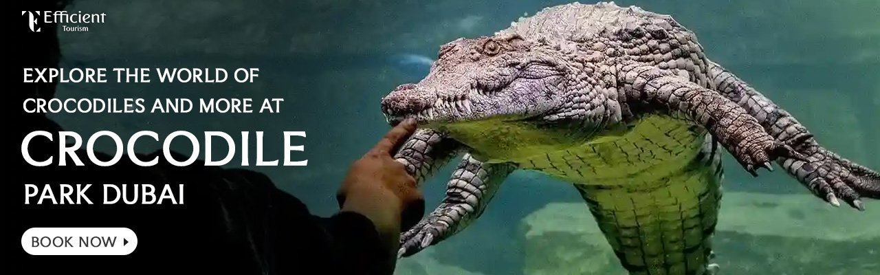 Dubai Crocodile Park Dubai Crocodile Park