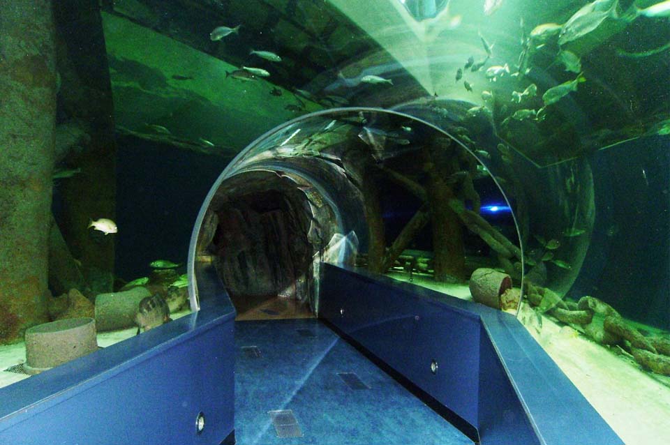 Sharjah Aquarium