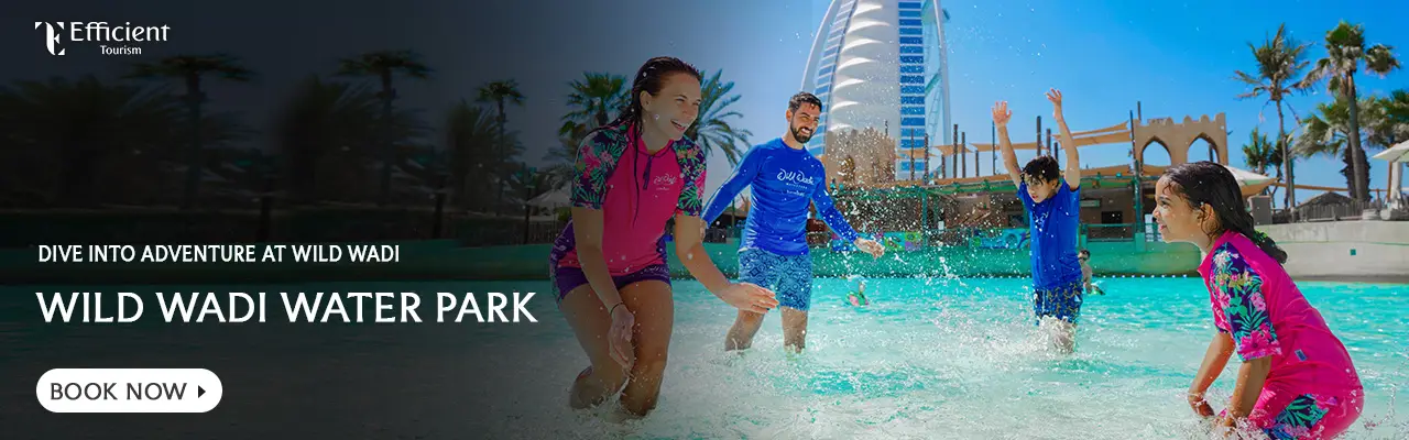 Wild Wadi Water Park