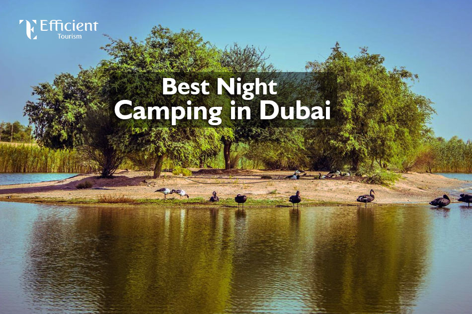 Best Night Camping in Dubai