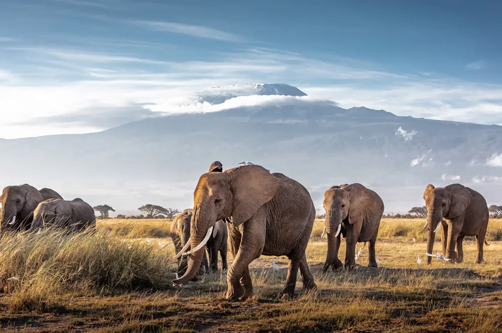 4 Nights Kenya Tour Package – Closed