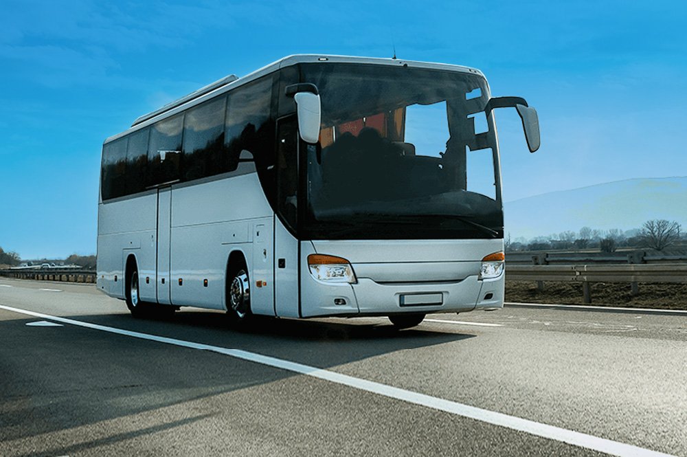 Muscat By Bus